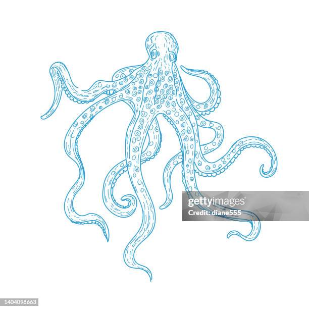 line art octopus on a transparent background - octopus illustration stock illustrations