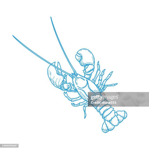 line art lobster on a transparent background - lobster stock illustrations