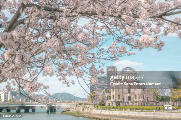 the atomic bomb dome and cherry blossom,hiroshima,japan - 1945 stock pictures, royalty-free photos & images