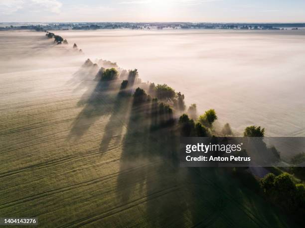 aerial view of road in agricultural fields at foggy dawn in summer - ukraine landscape stock-fotos und bilder