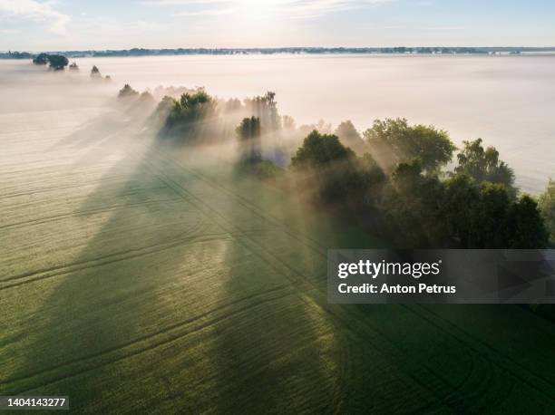 aerial view of road in agricultural fields at foggy dawn in summer - vägmarkering bildbanksfoton och bilder