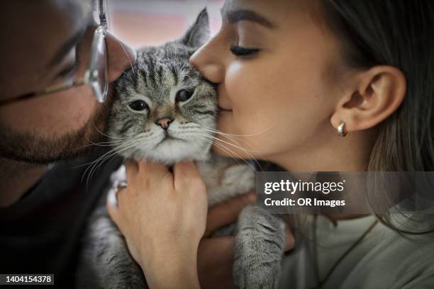 young couple hugging and kissing cute cat - kissing cat stock pictures, royalty-free photos & images