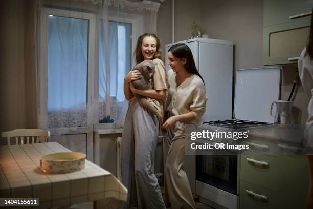 happy female friends in kitchen at home holding a cat - cat laughing - fotografias e filmes do acervo