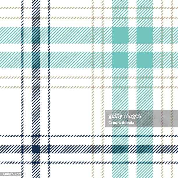 stockillustraties, clipart, cartoons en iconen met blue and white scottish tartan plaid pattern fabric swatch - scottish tweed