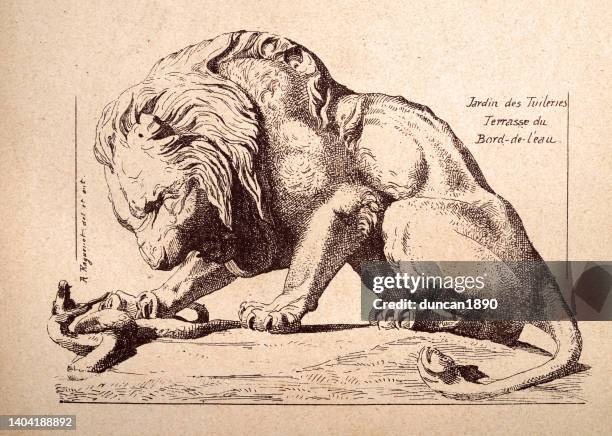 lion attacking a snake, jardin des tuileries, fine art statue print - snarling lion stock illustrations