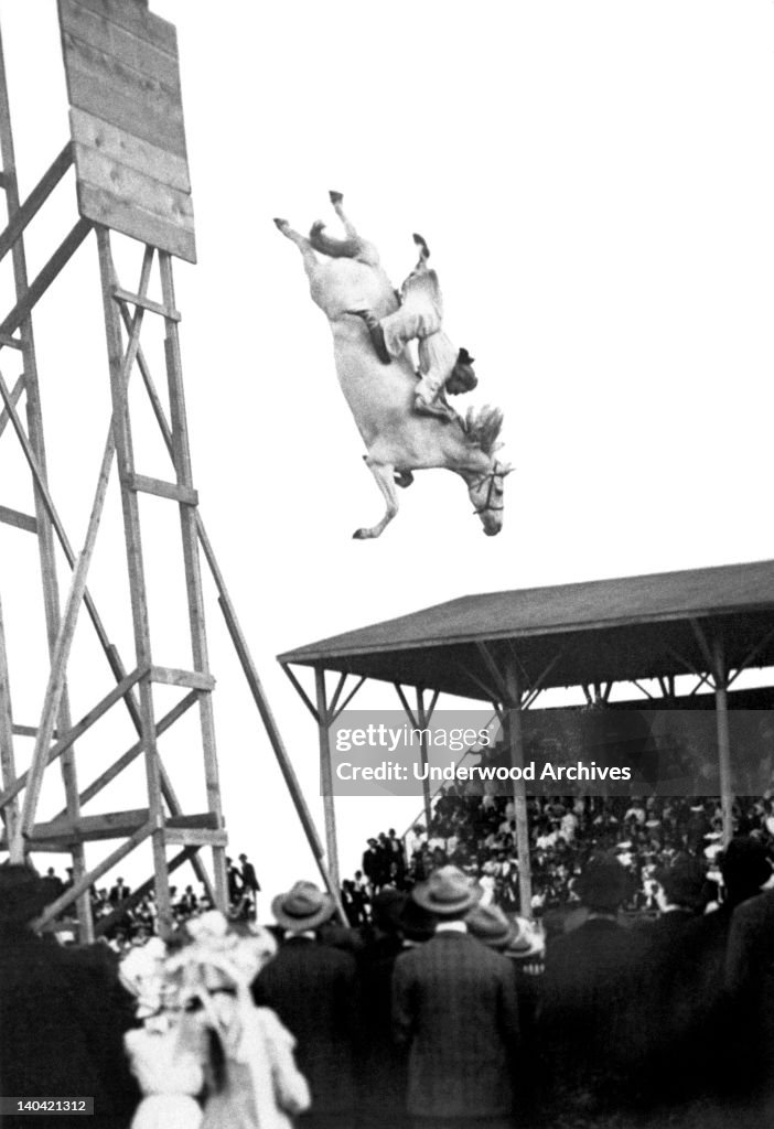 Amazing Horse Stunt Dive