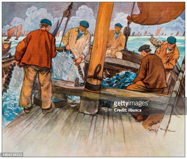 antique illustration: pilchard sardine fishing industry in douarnenez - fish painting stock illustrations