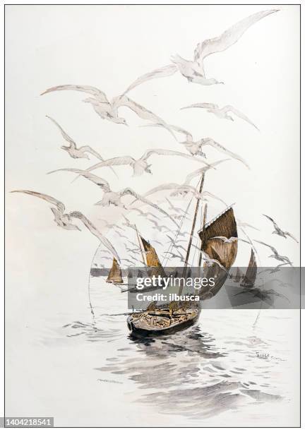 antique illustration: pilchard sardine fishing industry in douarnenez - commercial fishing boat stock illustrations