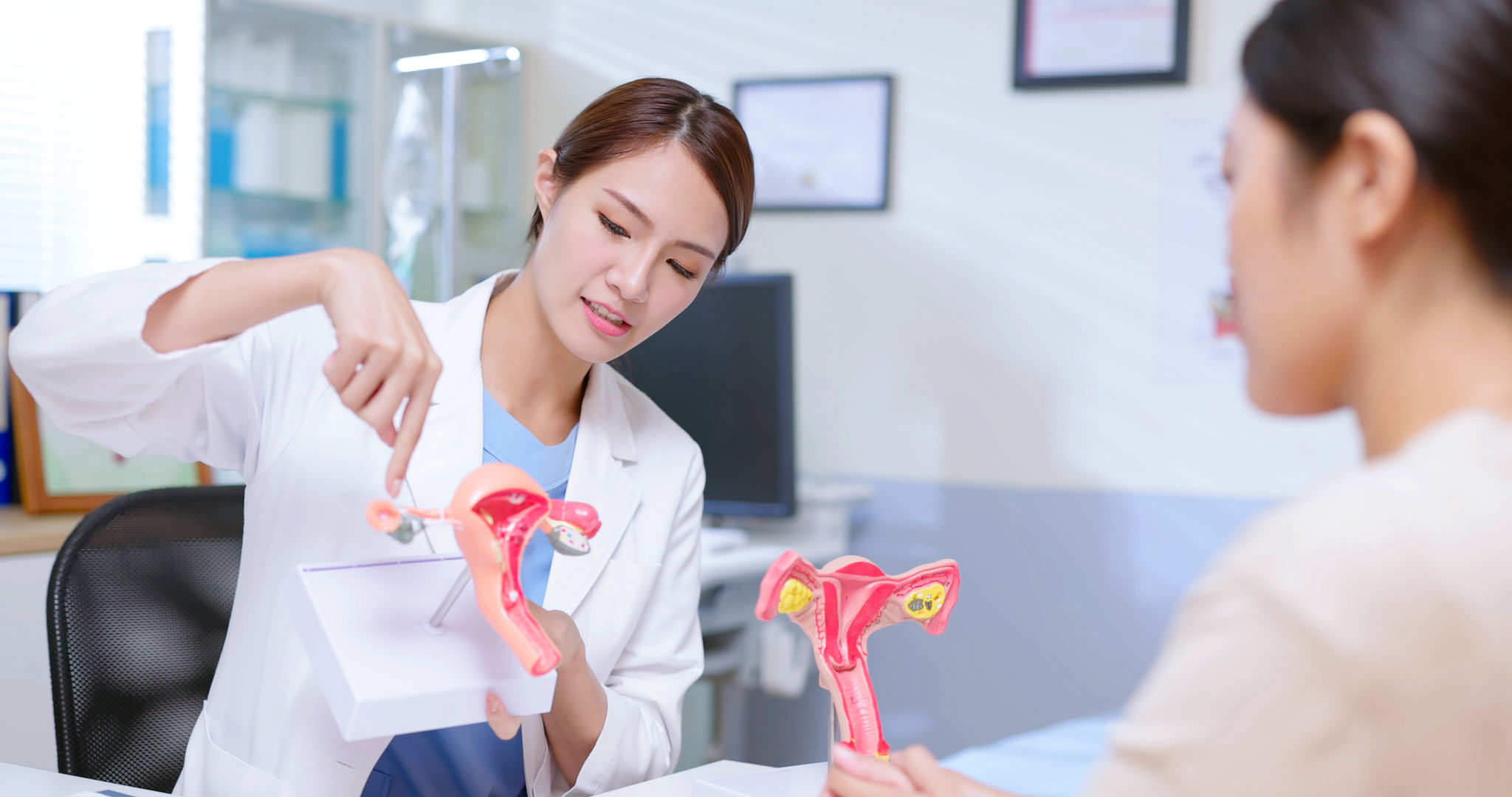 explain uterus model explain uterus model