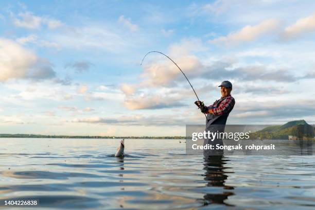 fishing in the lake - fly casting imagens e fotografias de stock