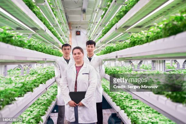 portrait of workers at technology vertical city farm - hydroponics stock pictures, royalty-free photos & images