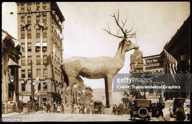 Gigantic elk takes over downtown Missoula in this photograph taken in Missoula, Montana, circa 1910. Chickens