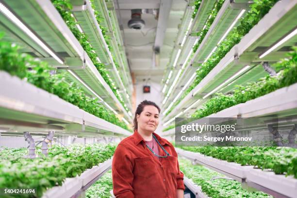 portrait of woman in modern vertical farm - plant stem stockfoto's en -beelden