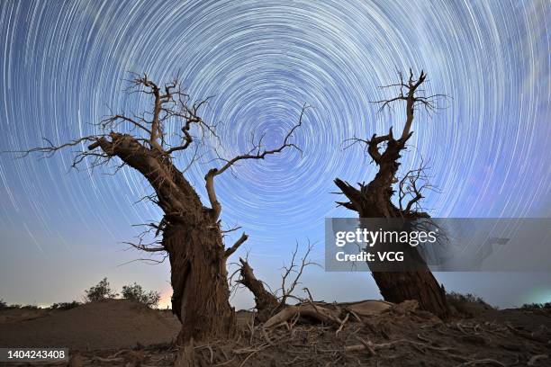 Long exposure of starlight trails above the dead Euphrates Poplar trees at the desert area on June 21, 2022 in Luntai County, Bayingolin Mongol...