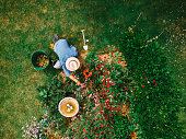 High angle view of man watering flowerbed in garden