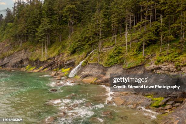 oswald state park waterfall. - cannon beach imagens e fotografias de stock