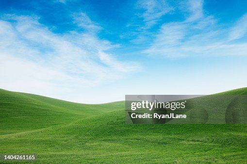 Campos de trigo verde fresco em Idaho Campos de trigo verde fresco em Idaho