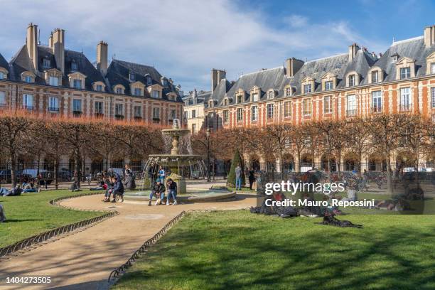 group of young people enjoying themselves on the lawn during a sunny day in place des vosges in le marias district, paris, france. - place des vosges stockfoto's en -beelden