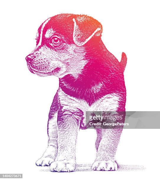 ilustraciones, imágenes clip art, dibujos animados e iconos de stock de cachorro de perro beagle con la esperanza de ser adoptado - dog pound