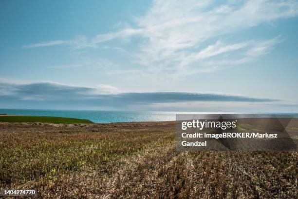 stockillustraties, clipart, cartoons en iconen met look into the distance. cap gris-nez, france - gris