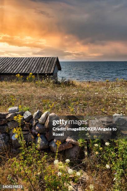 old fishing hut in summer, baltic sea, west coast at sunset, oeland island, kalmar laen, sweden - oland stock-fotos und bilder