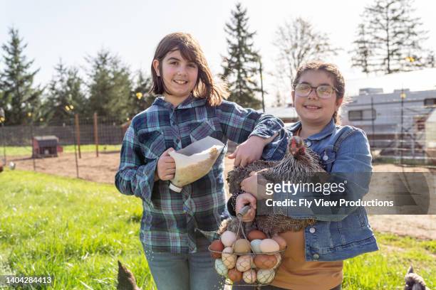 happy sisters helping out on their family's farm - animal related occupation 個照片及圖片檔