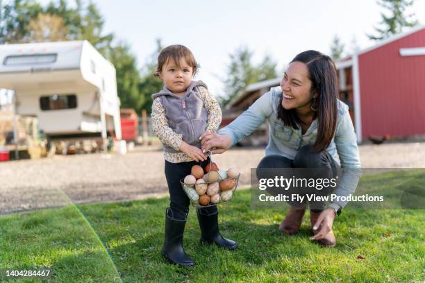 little girl helping her mom on the family farm - free range chicken egg stock pictures, royalty-free photos & images