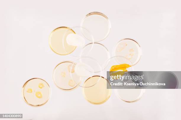 abstract oil circle bubbles in a petri dish top view. laboratory cosmetic or medicine background. - microbiologie stockfoto's en -beelden