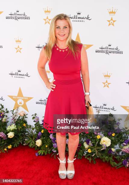 Actress Alison Sweeney attends a private party to celebrate Holly Robinson Peete receiving a Star on The Hollywood Walk of Fame in Beverly Hills at...