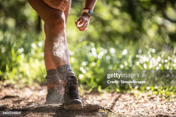 a woman applies mosquito spray to her feet during hiking - close up. - social bite stock pictures, royalty-free photos & images