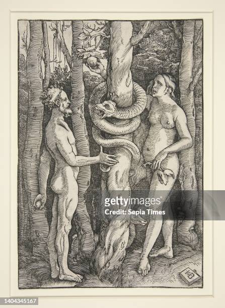 Hans Baldung, German 1484/85–1545, Adam and Eve with the Serpent, Woodcut, sheet: 22.1 × 15.3 cm , Made in Germany, German, 16th century, Works on...