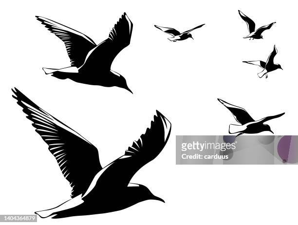 silhouetten von fliegenden vögeln - seagull stock-grafiken, -clipart, -cartoons und -symbole