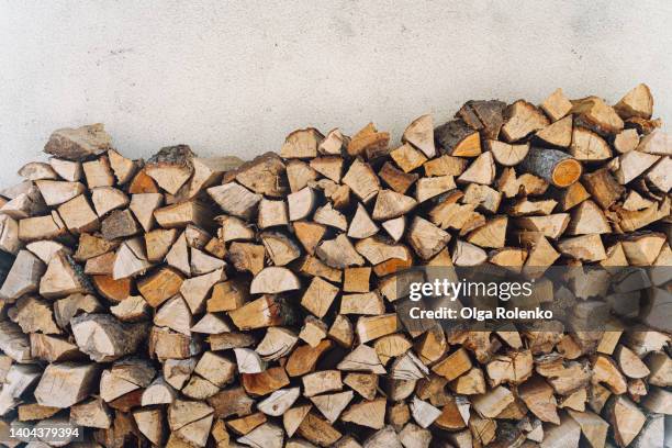 wood substance, forestry management - log stock pictures, royalty-free photos & images