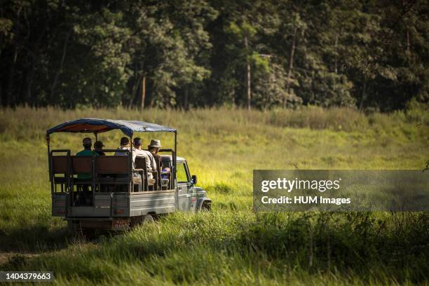 November 2017. Jeep safaris are replacing elephant safaris in Chitwan National Park and some of the community forests, catering to tourists more...