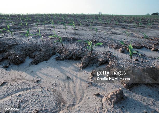 Preformed Rill 38 Rill Erosion Stock Photos, High-Res Pictures, and Images - Getty Images