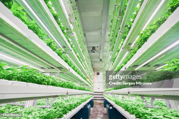 modern vertical city farm - emerald city stockfoto's en -beelden
