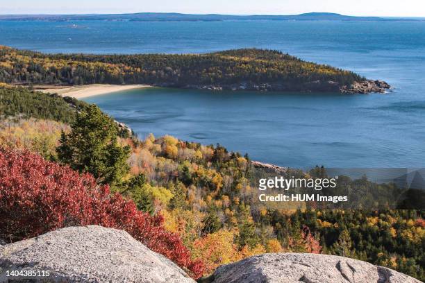 Sand Beach Cove and Great Head from Gorham Mountain, Acadia National Park, Maine, United States.