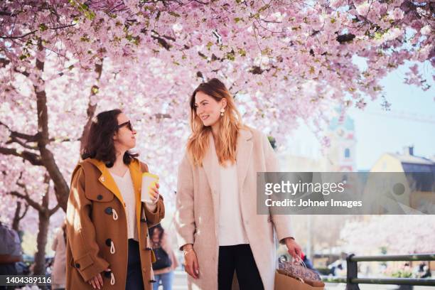 smiling young women walking under cherry blossom - cherry tree stock pictures, royalty-free photos & images