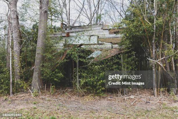 a rural homestead or small house abandoned and crumbling, overgrown with plants and shrubs - rundown stock pictures, royalty-free photos & images