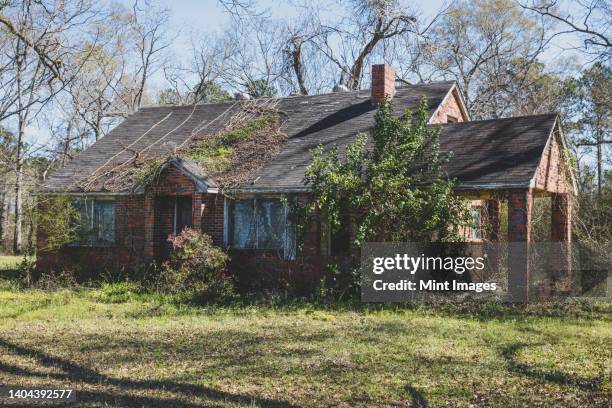 a rural homestead or small house abandoned and crumbling, overgrown with plants and shrubs - sweet home alabama stock pictures, royalty-free photos & images