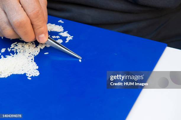 Field Inspection Is Rice Us Department Of Agriculture Laboratory Photos and Premium High Res ...