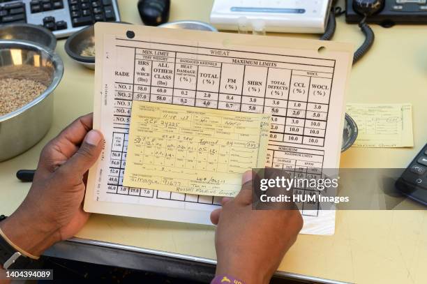 Grain Loading Inspection Us Department Of Agriculture Laboratory Photos and Premium High Res ...