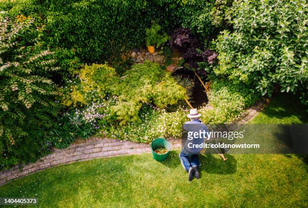 high angle view of man watering flowerbed in garden - landscaped stock pictures, royalty-free photos & images