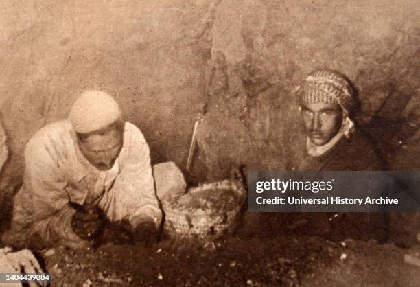 The Dead Sea Scrolls. Excavating with pen knives for fragments of the Bible scrolls in a cave at Kalia near the Dead Sea, Jericho, Palestine....