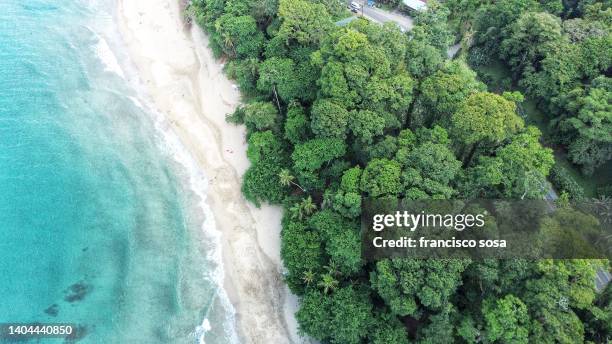 caribean beach - costa rica stock pictures, royalty-free photos & images