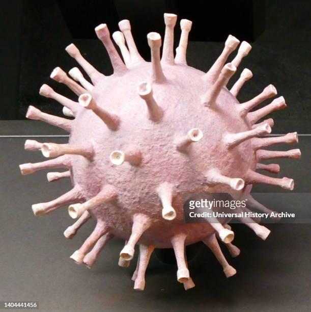 Model of a virus. A virus is a submicroscopic infectious agent that replicates only inside the living cells of an organism. Viruses infect all life...