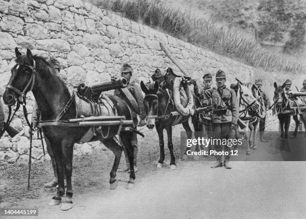 World War I 1914-1918: Austro-Hungarian soldiers with pack horses carrying guns. First Battle of Isonzo, 23 June-7 July 1915.