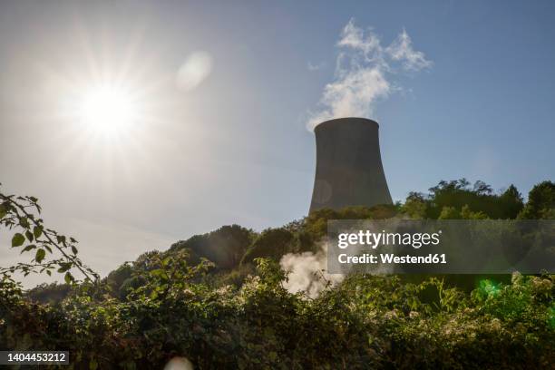 power plant at geothermal natural park biancane on sunny day - energia geotermica fotografías e imágenes de stock