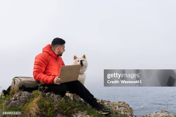 man sitting with laptop looking at pet dog on rock - shiba inu adult stock pictures, royalty-free photos & images