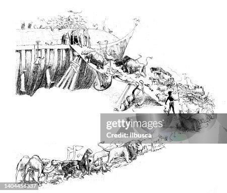 Antique illustration: Noah's Ark queueing Antique illustration: Noah's Ark queueing